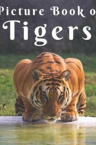 Cover of Picture Book of Tigers