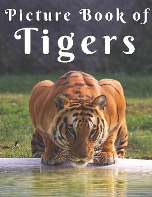 Book cover for Picture Book of Tigers