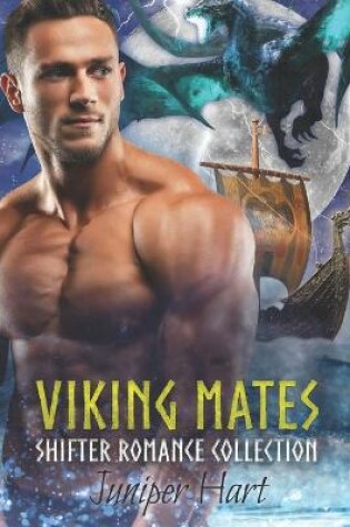 Cover of Viking Mates