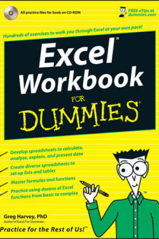 Cover of Excel Workbook For Dummies