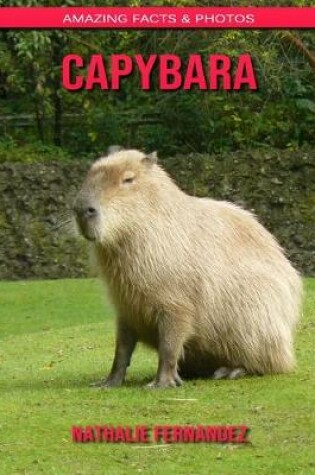 Cover of Capybara