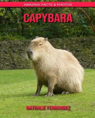 Book cover for Capybara