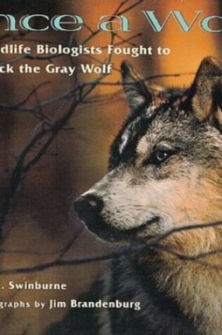 Cover of Once a Wolf