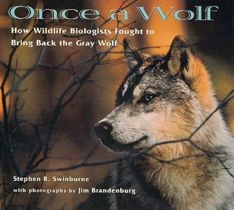 Cover of Once a Wolf