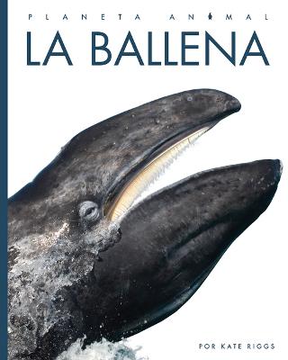 Book cover for La Ballena