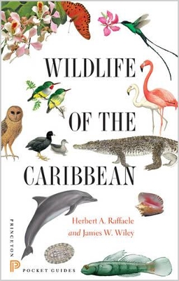 Book cover for Wildlife of the Caribbean