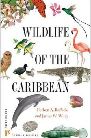 Cover of Wildlife of the Caribbean