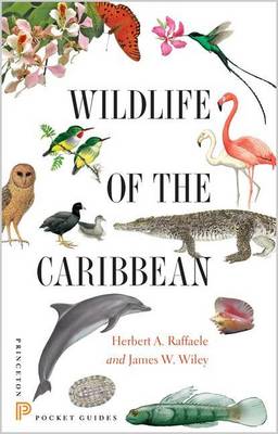 Book cover for Wildlife of the Caribbean