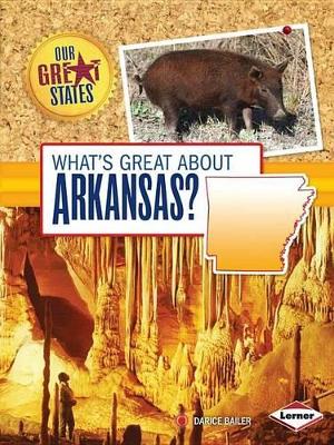 Book cover for What's Great about Arkansas?