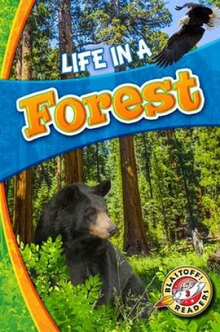 Cover of Life In A Forest