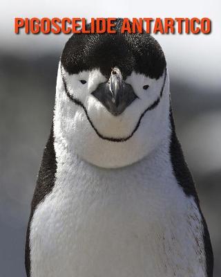 Book cover for Pigoscelide antartico