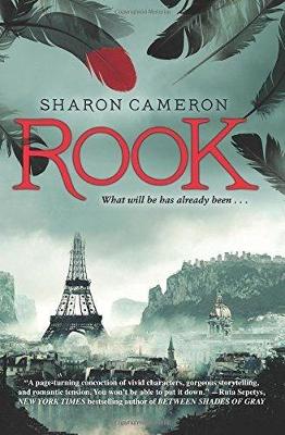 Book cover for Rook