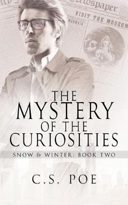 Book cover for The Mystery of the Curiosities