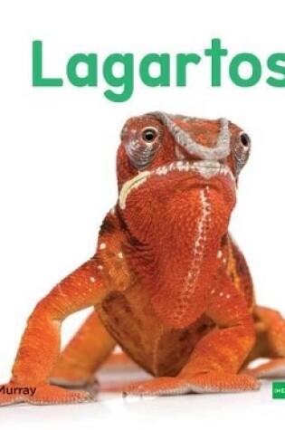 Cover of Lagartos (Lizards)