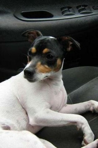 Cover of Chilean Fox Terrier Sitting in the Car Journal