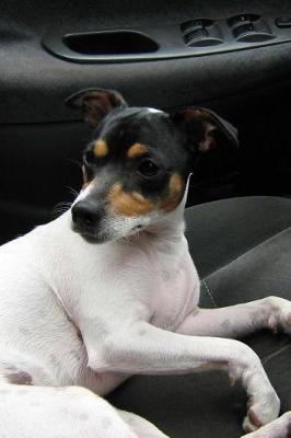 Book cover for Chilean Fox Terrier Sitting in the Car Journal