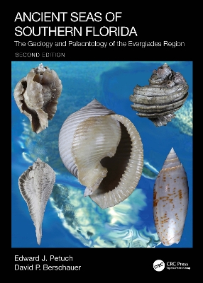 Book cover for Ancient Seas of Southern Florida