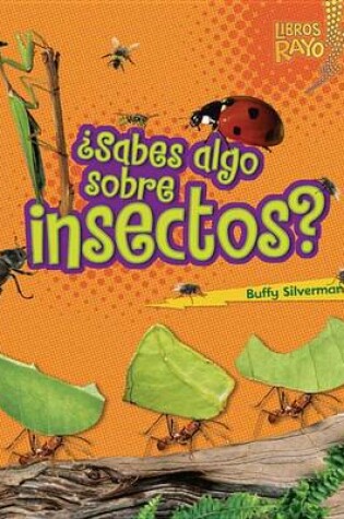 Cover of ¿Sabes algo sobre insectos? (Do You Know about Insects?)