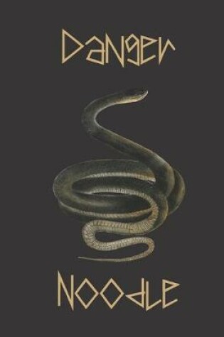 Cover of Danger noodle