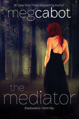 Cover of The Mediator