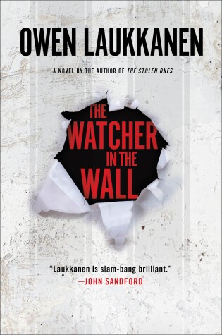 Book cover for The Watcher in the Wall