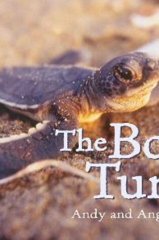 Cover of The Baby Turtle