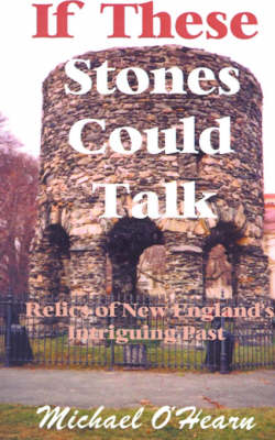 Book cover for If These Stones Could Talk