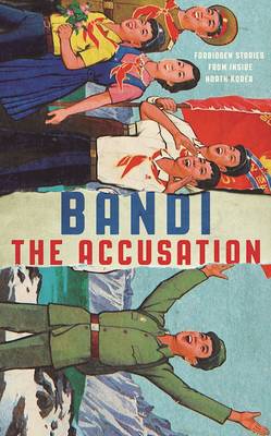 Book cover for The Accusation