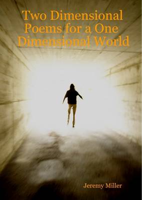 Book cover for Two Dimensional Poems for a One Dimensional World