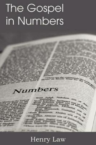 Cover of The Gospel in Numbers