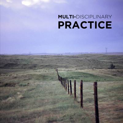 Book cover for Multi-Disciplinary Practice