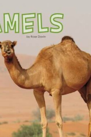 Cover of Meet Desert Animals Pack A of 4