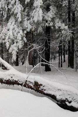 Cover of 2019 Weekly Planner Winter Fallen Tree Snow 134 Pages