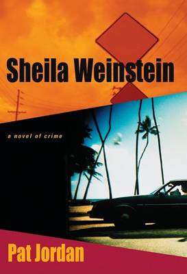 Book cover for A.K.A. Sheila Weinstein