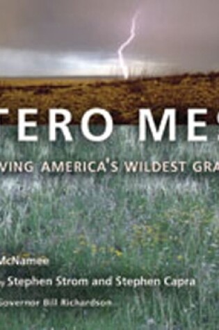 Cover of Otero Mesa