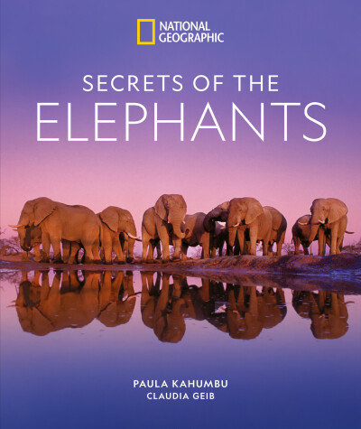 Book cover for Secrets of the Elephants