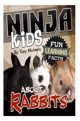 Book cover for Fun Learning Facts about Rabbits