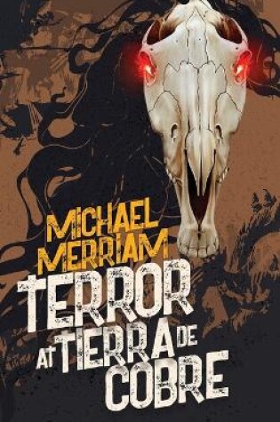 Cover of Terror at Tierra de Cobre