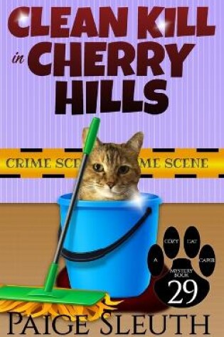 Cover of Clean Kill in Cherry Hills