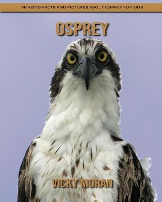 Book cover for Osprey