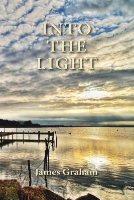 Book cover for Into the Light