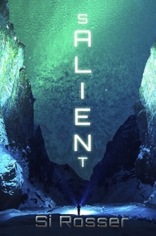 Cover of Salient