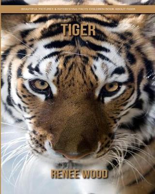 Book cover for Tiger