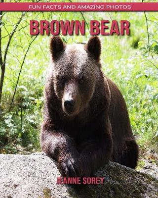 Book cover for Brown Bear