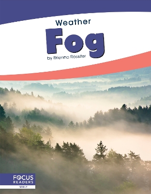 Book cover for Fog