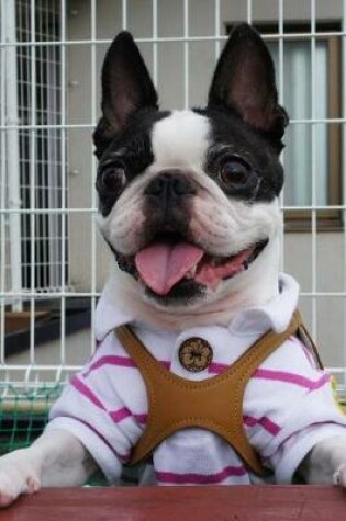 Cover of Boston Terrier Wearing Clothes Mom Picked Out Funny Dog Journal