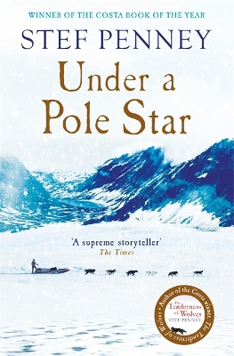 Book cover for Under a Pole Star