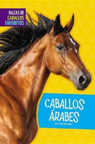 Cover of Caballos Arabes