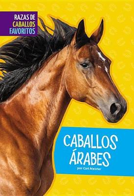 Book cover for Caballos Arabes