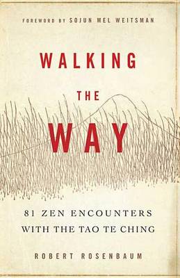 Book cover for Walking the Way